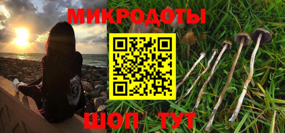 Псилоцибиновые грибы прущие грибы  Вход с VPN  Мичуринск 